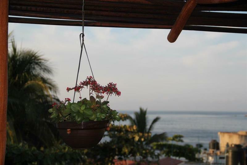 Lalora Hotel & Villas San Patricio Melaque Dış mekan fotoğraf
